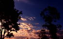 Gallery_thumb_4brasilia